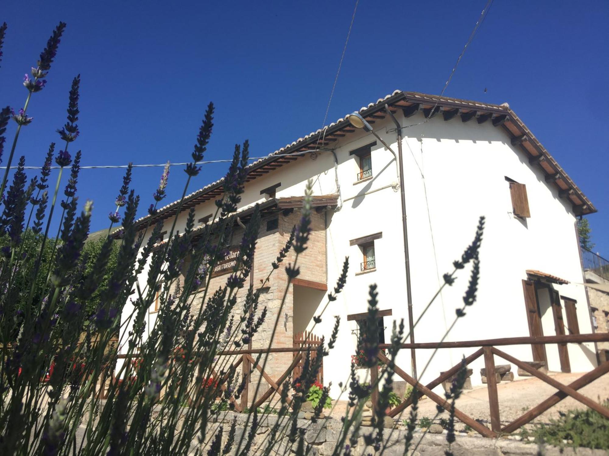 Agriturismo Le Castellare Montemonaco Exterior foto
